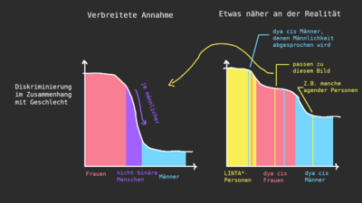 Auf dem Bild sind zwei Graphen zu sehen. Die y-Achse bildet so etwas
wie die Stärke der Diskriminierung im Zusammenhang mit Geschlecht ab.
Die Überschrift des linken Graphs ist Verbreitete Annahme, die des
rechten Graphs, Etwas näher an der Realität. Der linke Graph zeigt eine
abfallende Kurve mit einem breiten roten Abschnitt, einem schmalen lila
Abschnitt und einem breiten blauen. Dabei steht rot für Frauen, lila für
nicht-binäre Menschen und blau für Männer. Über dem lila Teil der Kurve
für nicht-binäre Menschen, wo zugleich das stärkste Gefälle ist, deutet
ein Pfeil in Richtung des Abfalls und ist beschrieben mit: Je
männlicher. Der rechte Graph zeigt auch eine abfallende Kurve, die aber
nie so niedrig wird wie die linke. Der schmale Abschnitt ist nun gelb
und links und etwas breiter als der lila Abschnitt rechts, und mit
FLINTA*-Personen betitelt. Dann kommt der rote Abschnitt mit dya cis
Frauen und der blaue mit dya cis Männern. Allerdings sind die drei
Abschnitte jeweils mit einzelnen Linien der jeweils anderen Farben
durchsetzt. Eine blaue Linie im rechten, gelben Bereich ist beschrieben
mit: dya cis Männer, denen Männlichkeit abgesprochen wird. Eine gelbe
Linie im roten, mittleren Bereich ist mit einen Pfeil auf den lila
Bereich im linken Graphen versehen und beschriftet mit: passen zu diesem
Bild. Eine gelbe Linie im rechten, blauen Bereich ist beschriftet mit:
Zum Beispiel manche agender
Personen.