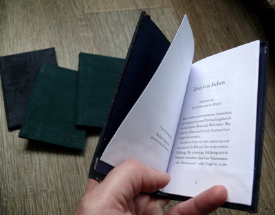 Ich halte eines der Bücher aufgeschlagen in der Hand. Die Seite mit dem Titel und dem Anfang der Geschichte ist sichtbar. Im Hintergrund liegen die drei anderen Bücher auf dem Boden.